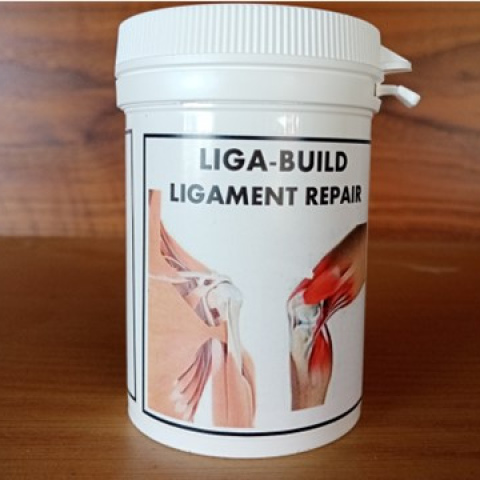 LIGA-BUILD