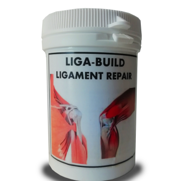 LIGA-BUILD